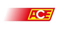 ACE-Wirtschaftsdienst GmbH Logo