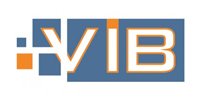 ViB Promotion GmbH Logo